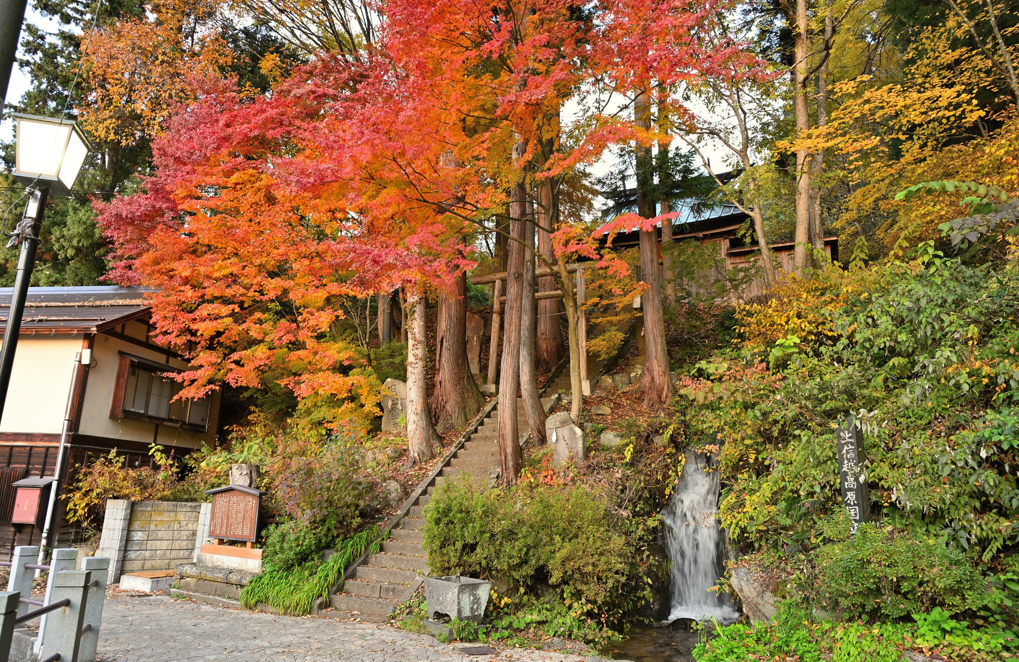 湯沢神社